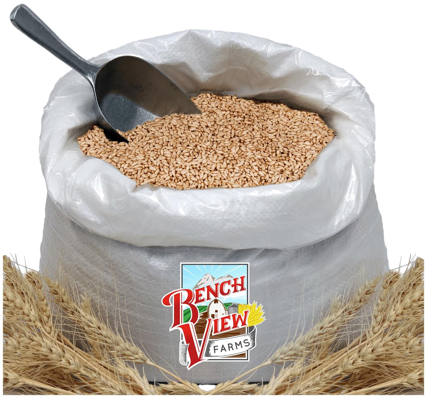 Organic Soft White Wheat Berries - 10lbs
