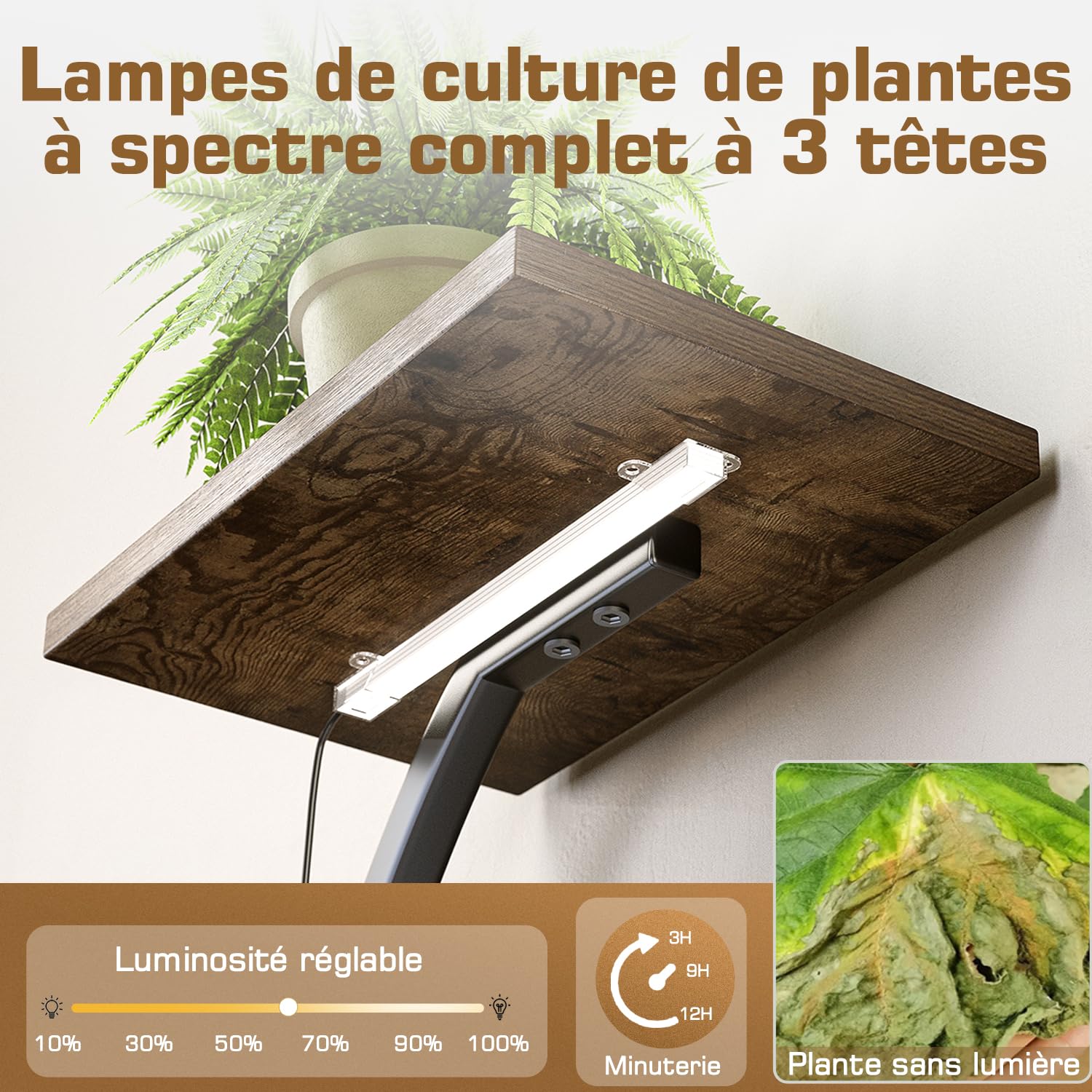 Support Plantes 150cm – 8 étagères, LED croissance, métal noir | Support plantes 150cm | 8 étagères | LED croissance + minuterie | Métal noir + bois | Int & ext | Salon, balcon