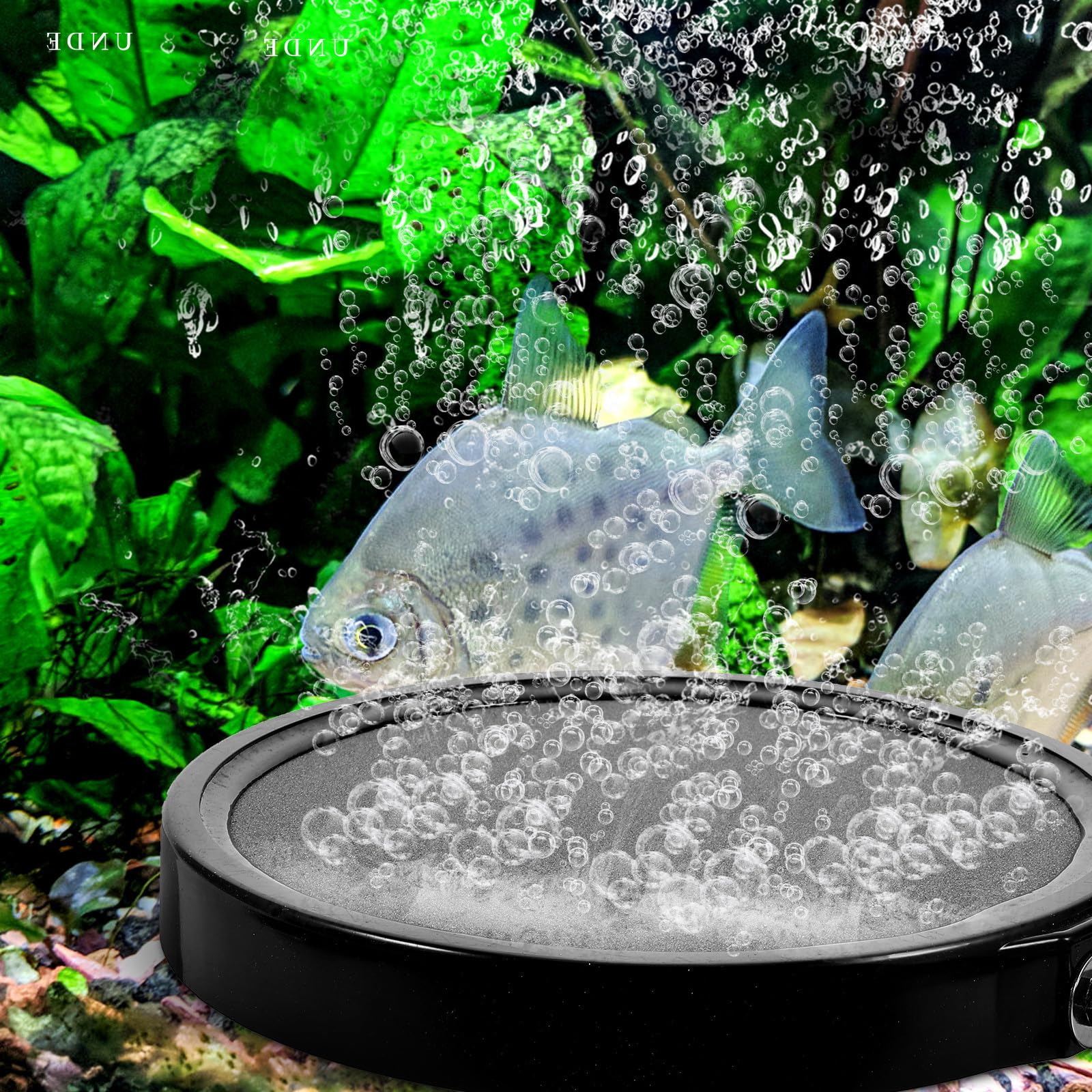 Artibetter Réutilisable pour Aquarium Noir en Sable et Gravier, Diffuseur D'oxygène Couleur Aléatoire pour Aquarium Pompe à Air