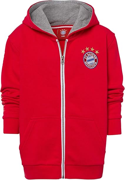bayern veste