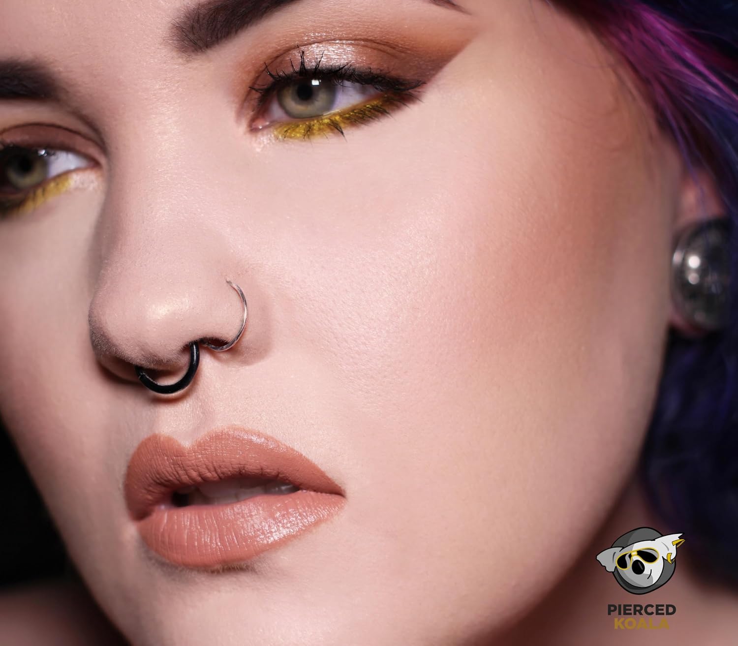 2PCS Titanium Hinged Segment Rings | 20G 18G 16G 14G 12G 10G 8G 6G | | Septum Nose Lip Tragus Helix Daith Cartilage Earrings | Body Piercing Jewelry Hoops