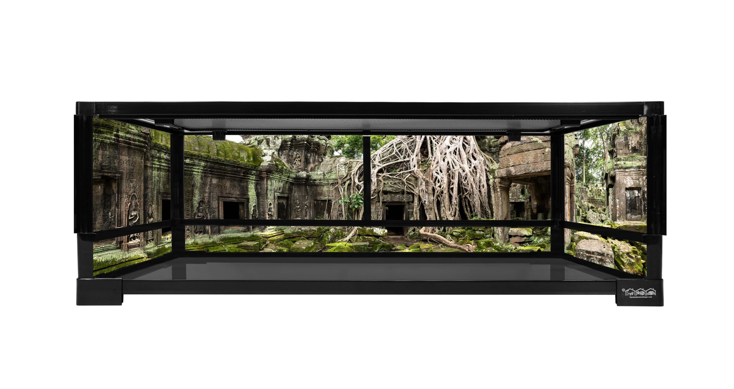Reptile Habitat Background; Angelina's Ta Prohm Temple Ruins for 20L Medium-Plus 30Lx12Wx12H Terrarium, 3-Sided Wraparound