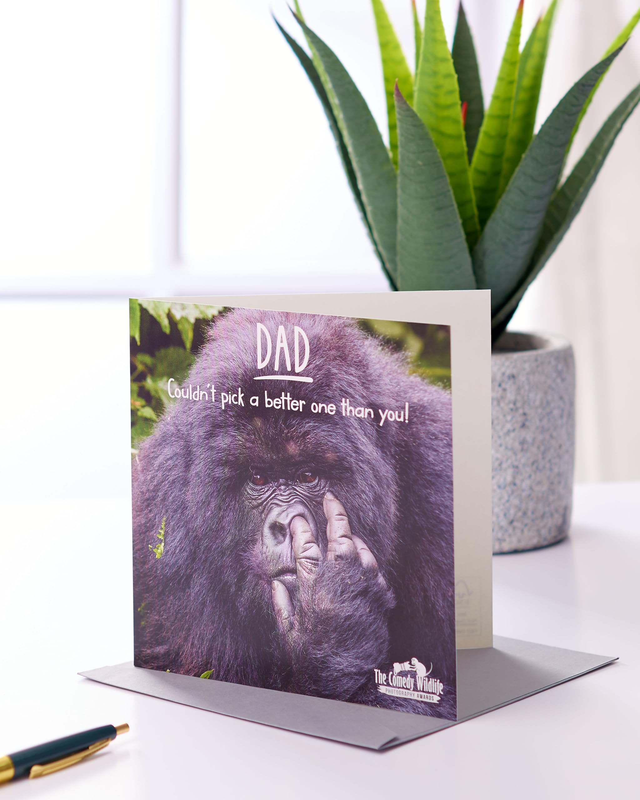 UK Greetings | Birthday Card For Dad | Happy Birthday Gifts | Him, Boys, Men | Couldn't Pick A Better One Design | With Envelope | 165 X 165 Mm