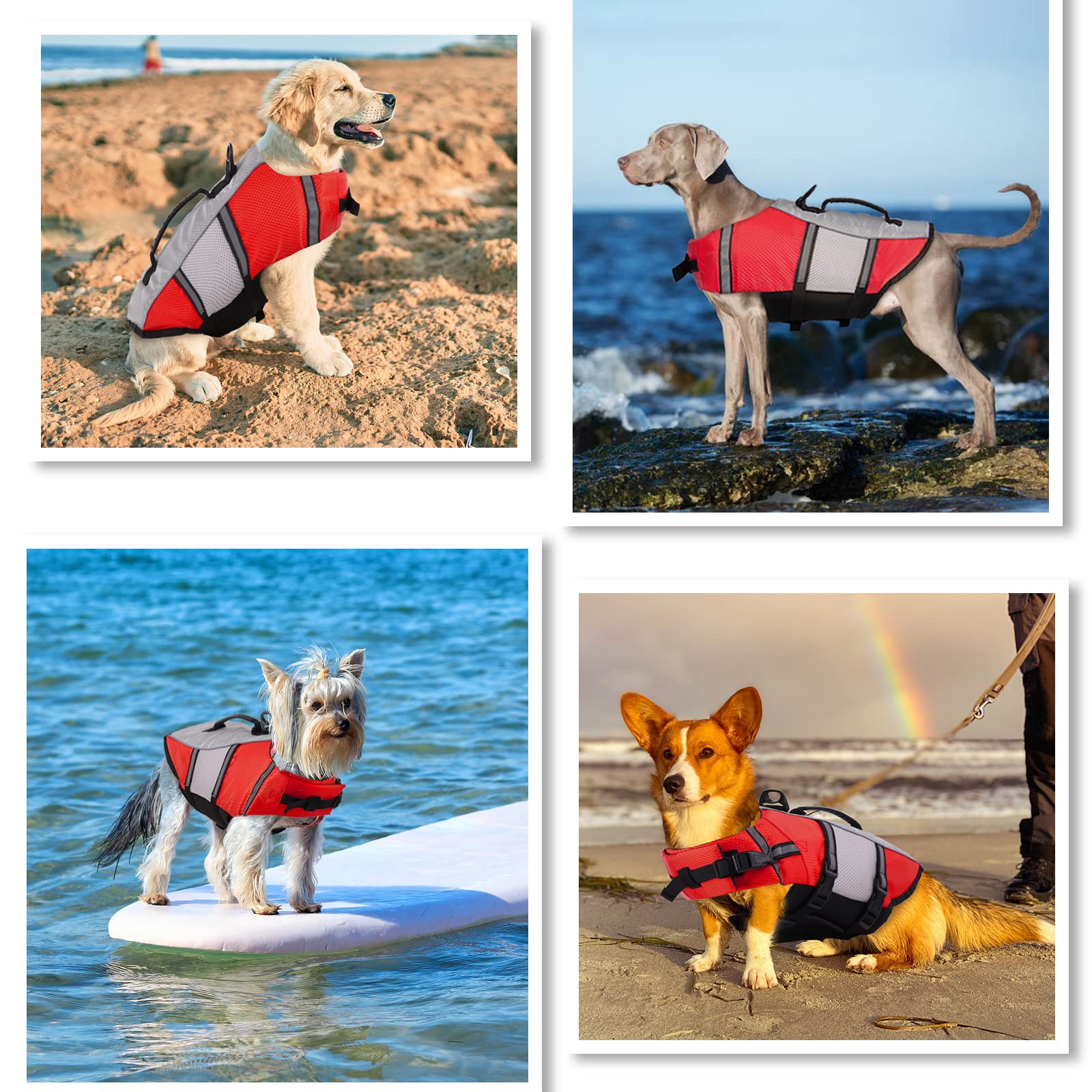 cabelas advanced dog vest