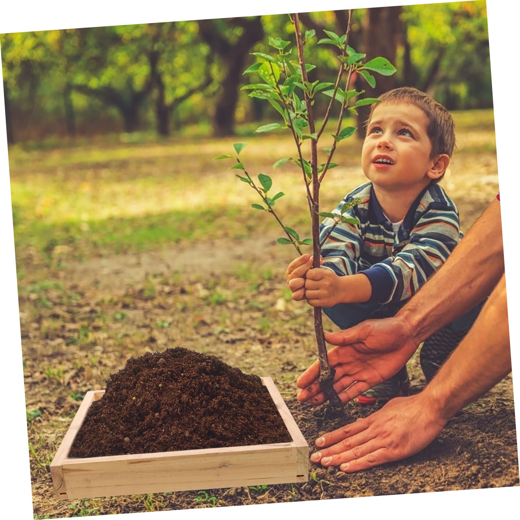 Milisten Tamis à Terre pour Jardin Acier Inoxydable avec Maille Bois pour Cailloux Terre Et Compost Outil De Jardinage