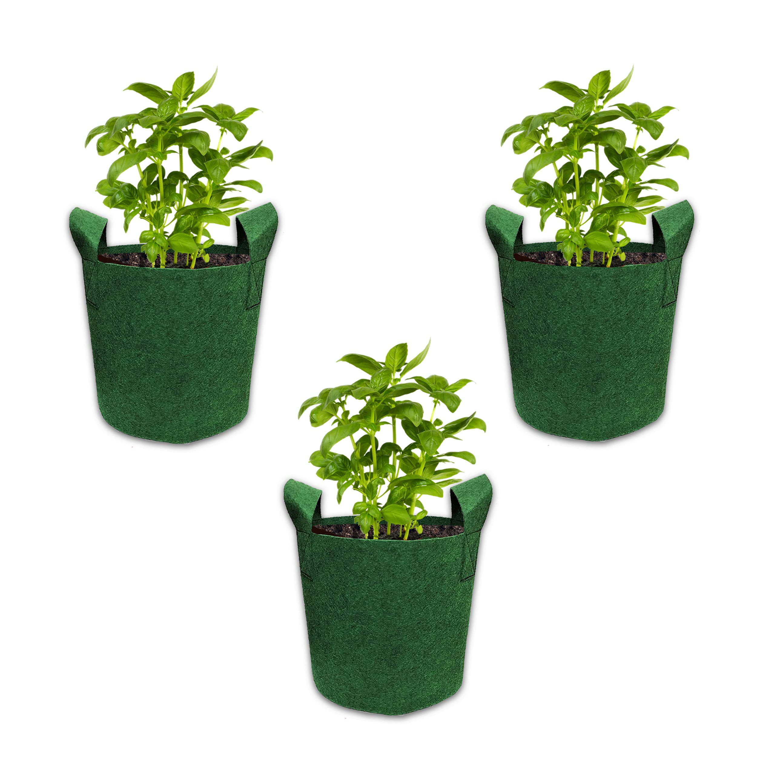 Bombay Greens ; Sow, Grow, Eat, Repeat Geo Fabric Grow Bags Premium 350 Gsm Bags For Terrace Kitchen Gardening - Set Of 3 12X12 Inches - Green (B097PD5R8Z) Amazon Price History, Amazon Price Tracker