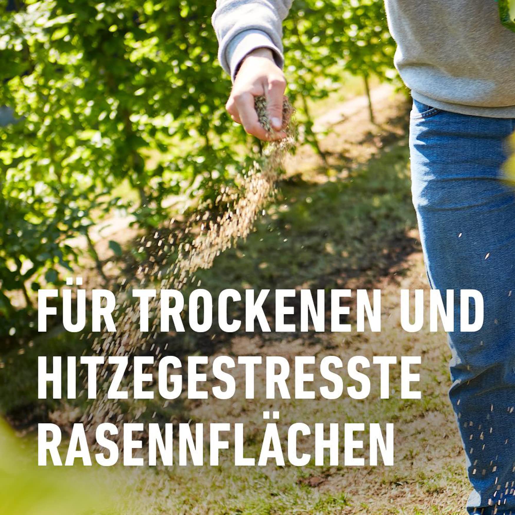 COMPO Trockenschäden-Mix 4in1-Rasenreparatur, Trockensaat, Dünger, Bodenaktivator und Mykorrhiza in einem, Rasendünger und Rasensamen / Grassamen, 5 kg, 100 m²