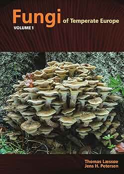 洋書　きのこ図鑑　Poroid fungi of Europe 洋書 きのこ図鑑 Poroid fungi of Europe