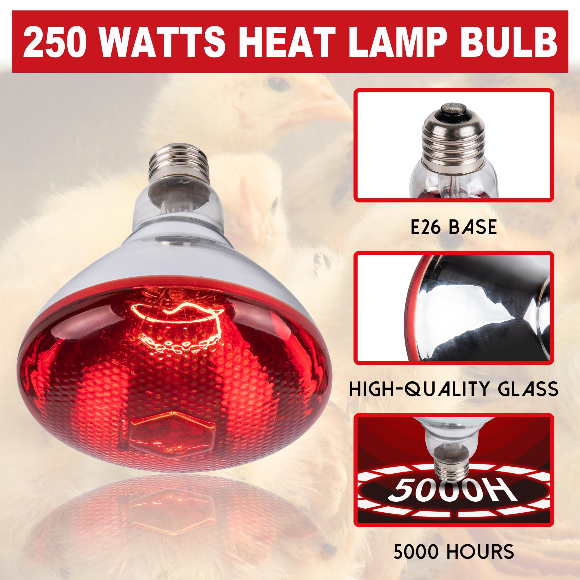 Wesome Lighting 250W Chicken Heat Lamp Bulbs, PAR38 Heat Lamp for