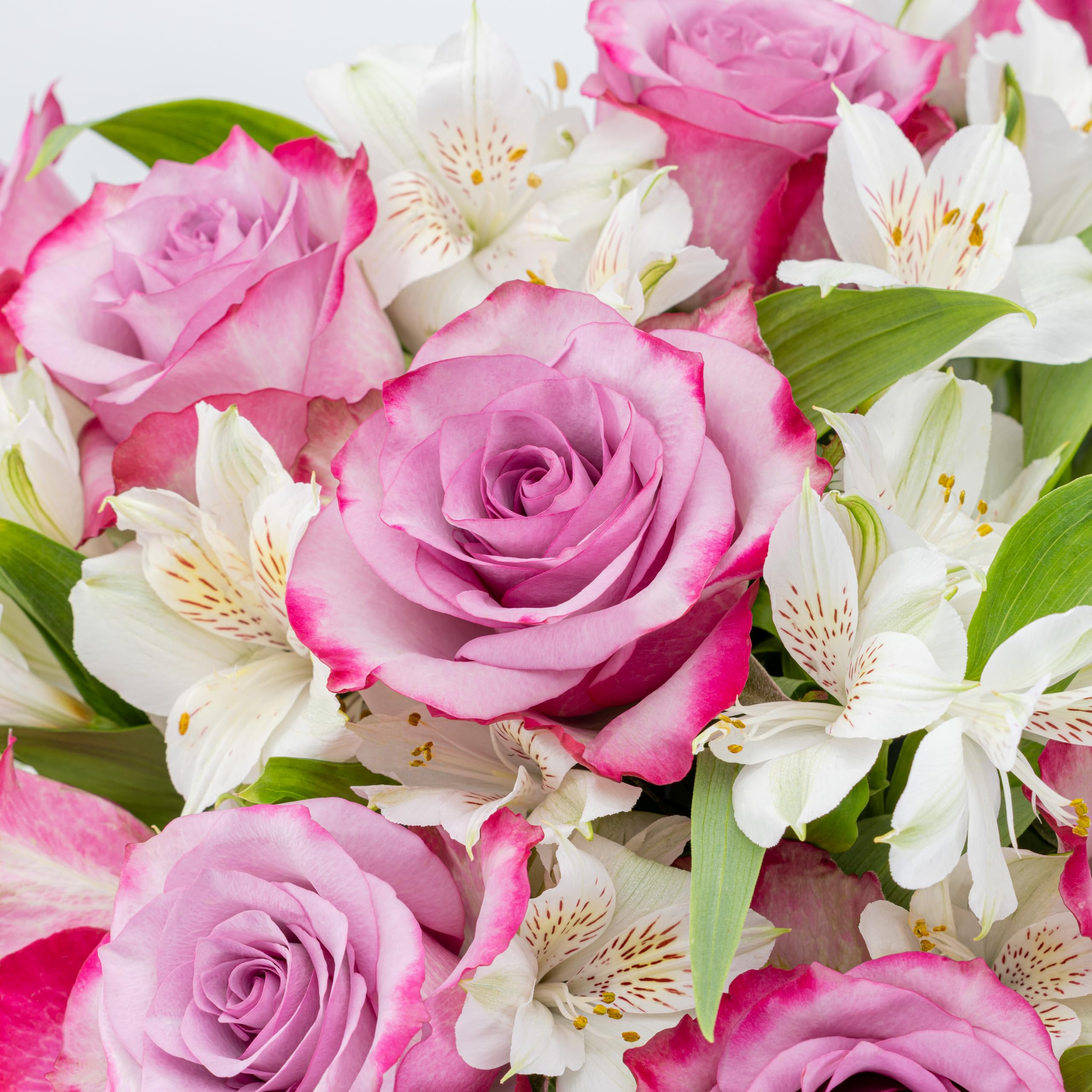Amazon.com: Benchmark Bouquets - Delightful Roses & Alstroemeria