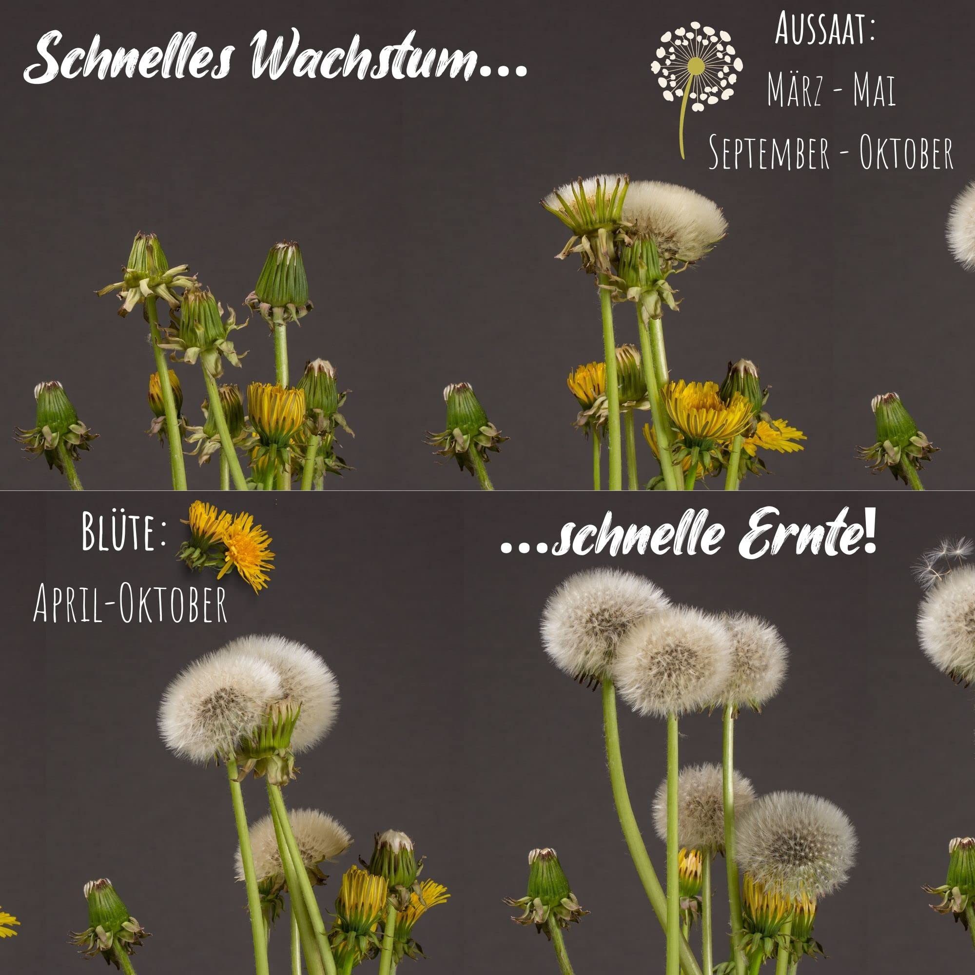 künstlicher adventskranz 100cm Adventskranz Trockenblumen 