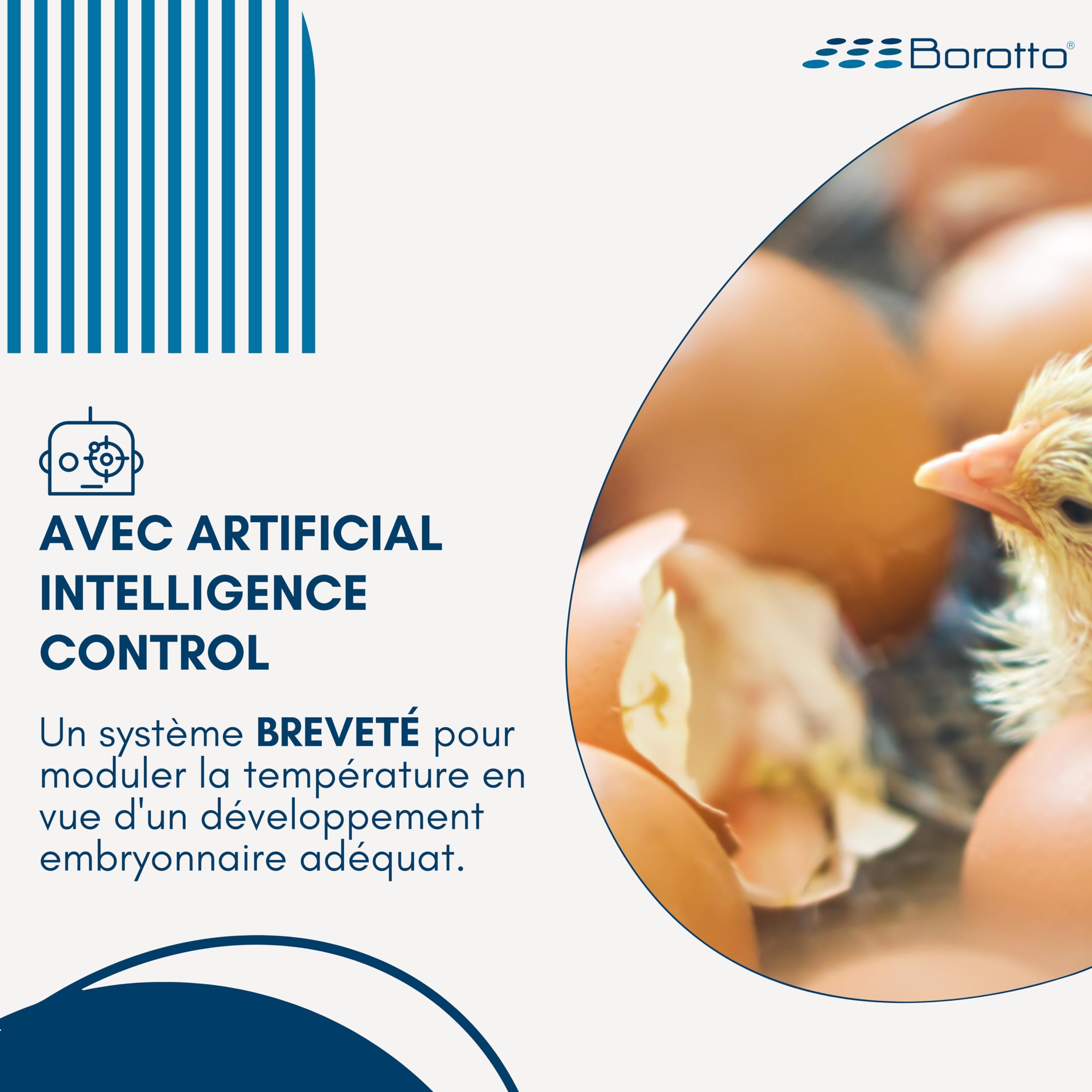 Borotto Real 24 Expert | Couveuse Oeuf Automatique 24 Oeuf ou 96 Petit avec Retournement Automatique, Contrôle de la Température et Humidificateur Automatique Sirio | Made in Italy