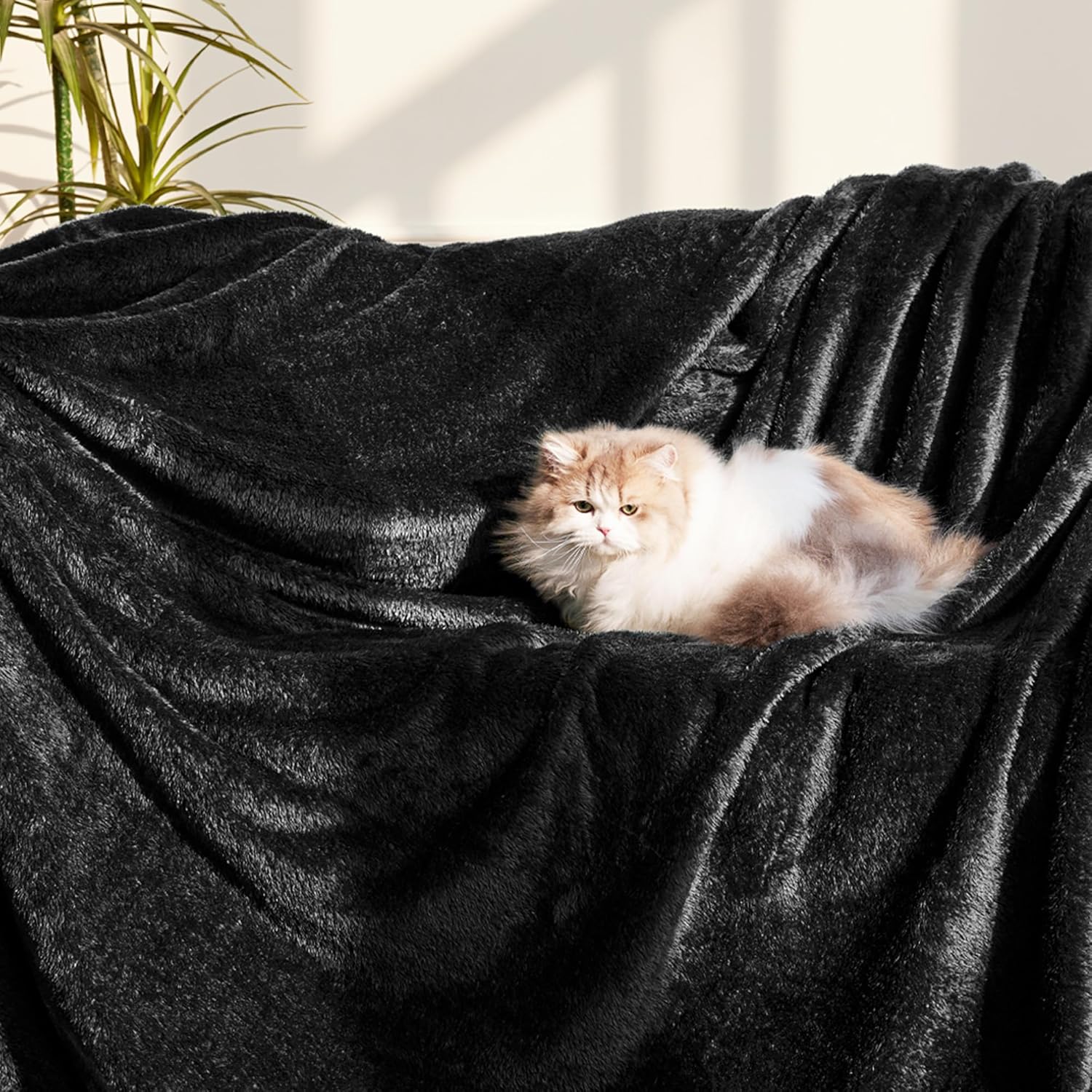 Whale Flotilla Black King Size Blanket for Bed, 300GSM Soft Warm Fleece Fabric, Decorative Lightweight Plush Fluffy Blankets for All Season, 90x104 Inch - Image 2