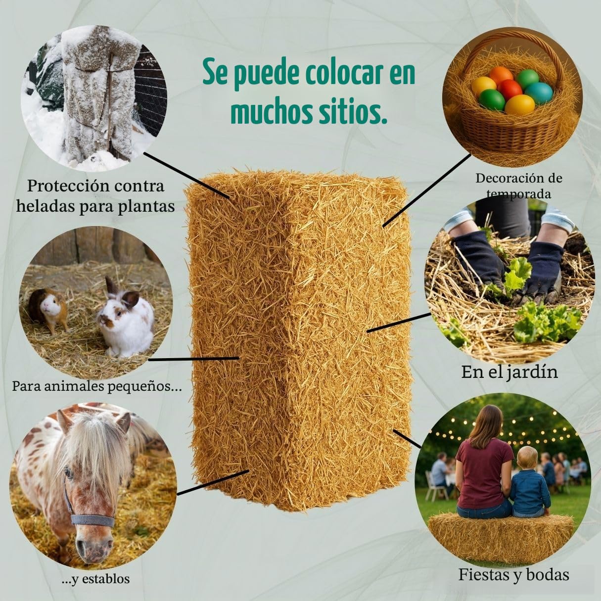 15 kg de Paja de Trigo de Primera Calidad, Paja Fresca y Seca sin inyectar, para Conejos, cobayas, liebres, decoración, Directamente del Granjero