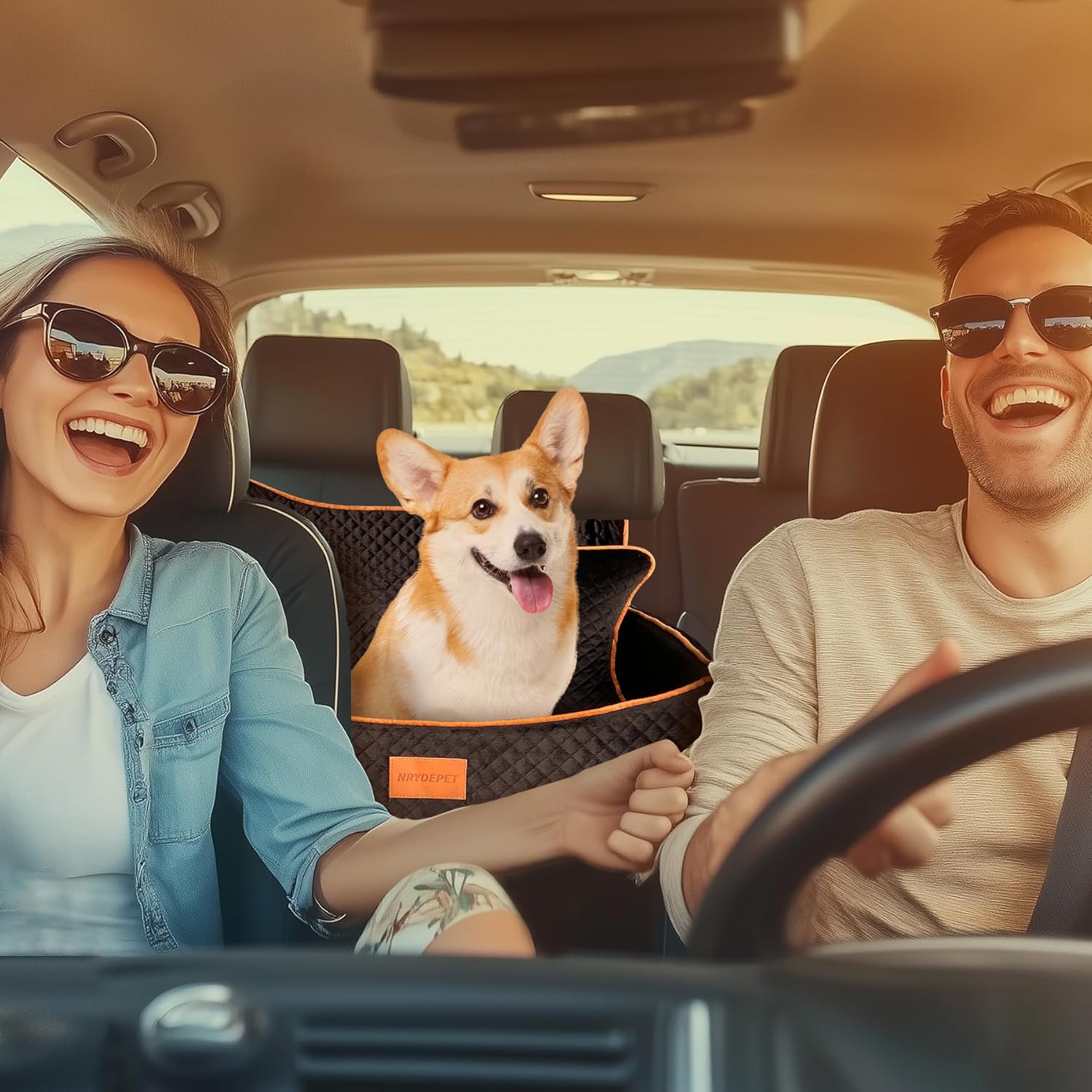 Dog Car Seat for Medium Dogs or 2 Small Dogs, Memory Foam Booster with Bonus Pillow & Removable Washable Cover, 2 Safety Leashes, Anti-Slip Base - Supports 50lbs (Black)