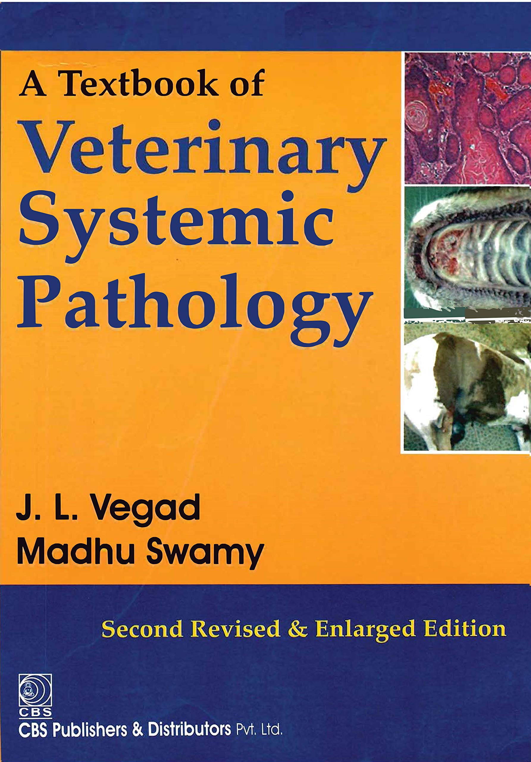 A Textbook Of Veterinary Systematic Pathology 2Ed Revised And Enlarged (Pb 2018)