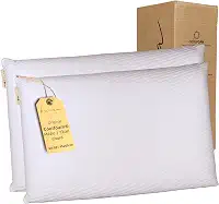 Kama Travesseiro Viscoelástico Premium Original Coolfoam® Classic, Hipoalergênico, Capa Removível (02, Médio 12cm)