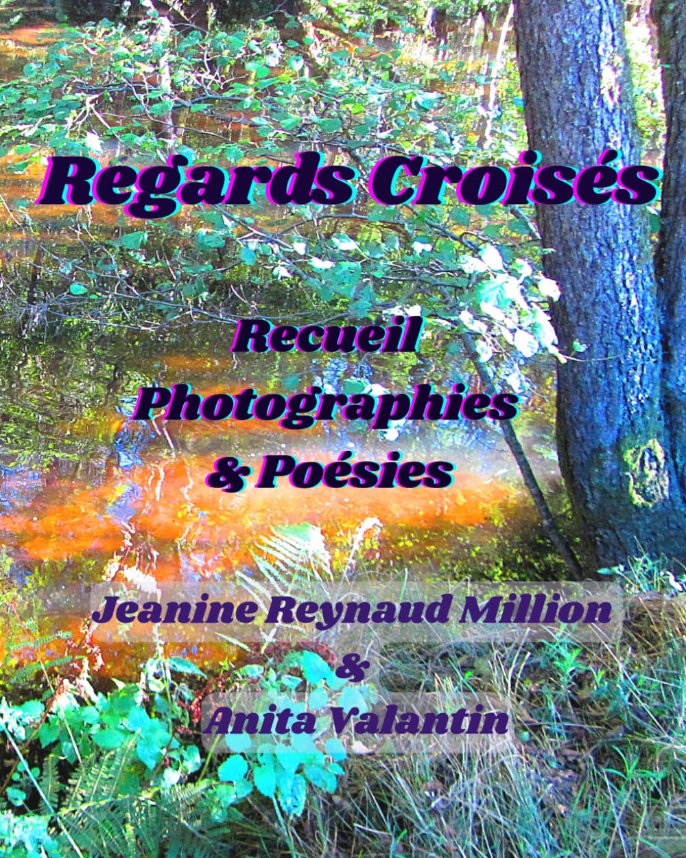 Regards Croisés: Recueil Photographies & Poésies