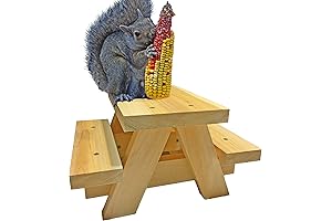 Large Squirrel Picnic Table Feeder: A Fun and Unique Treat for Your Squirrel Friends
