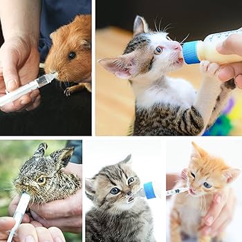 60ml Cat Feeding Bottle Kit Pet Nursing Milk Bottle+Nipple Opener+Cleaning Brush+ Replacement Nipple For Newborn Kittens/Puppies