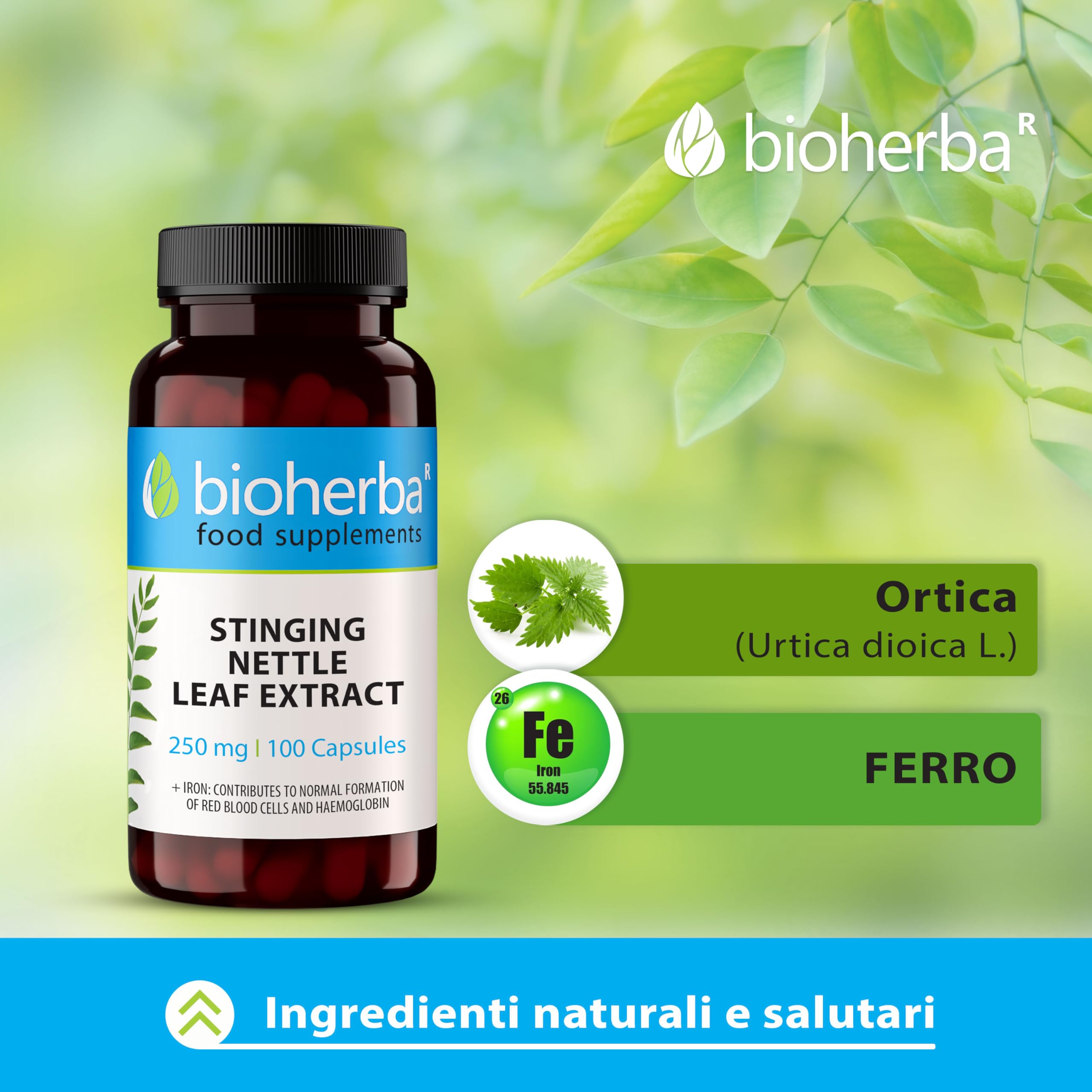 Ortica Forte by BIOHERBA Integratore Naturale con Estratto di Foglie di Ortica 250 mg e Ferro 200 Capsule per Vitalità e Benessere