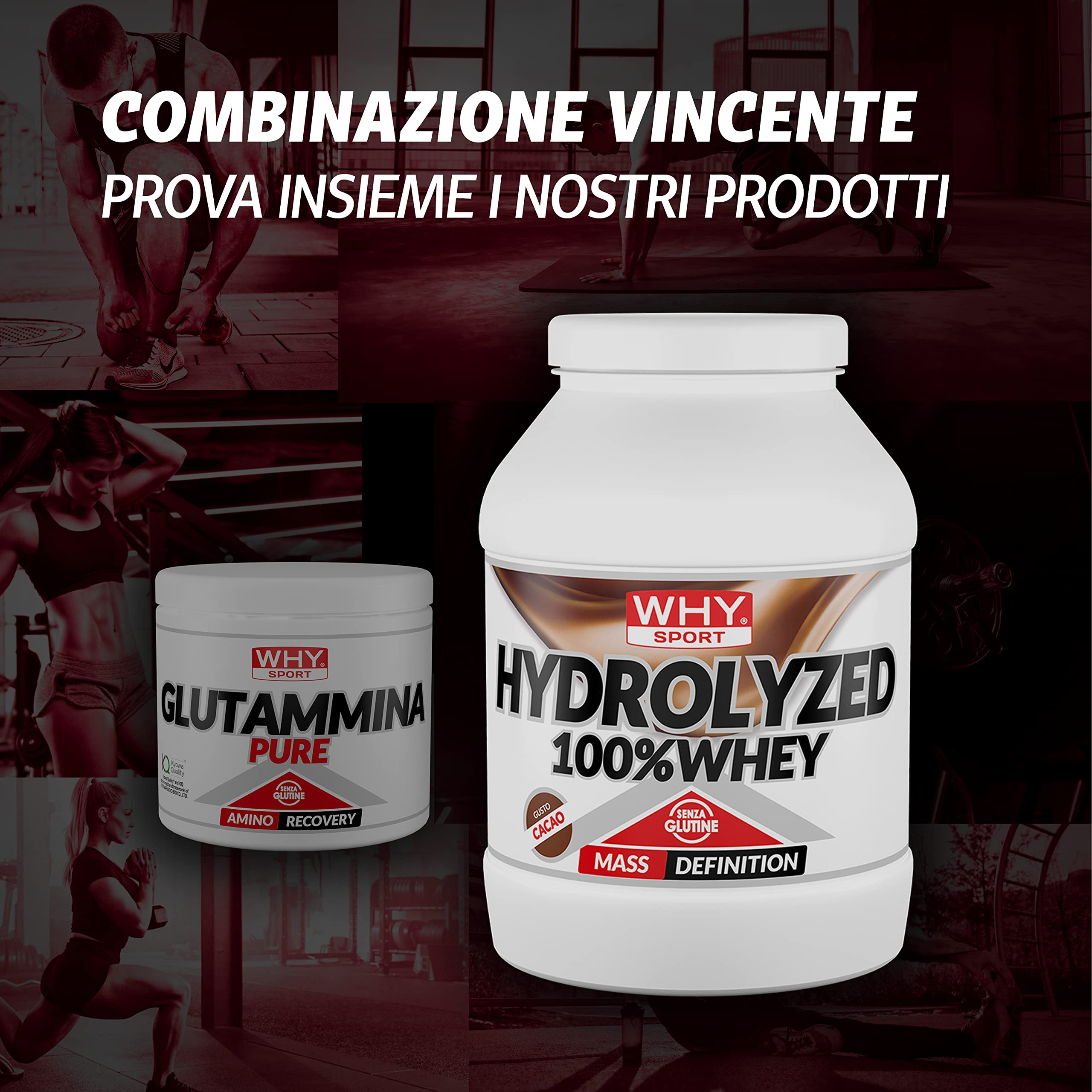 WHY SPORT GLUTAMMINA PURE - Aminoacidi - Integratore Alimentare a Base di L-Glutammina - 250 gr