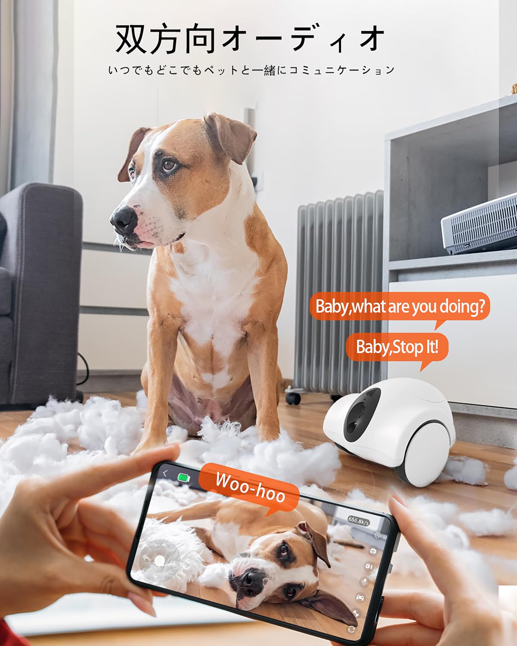 Amazon.co.jp: GULIGULI ペットカメラ Hiibo 部屋全体の中で移動 