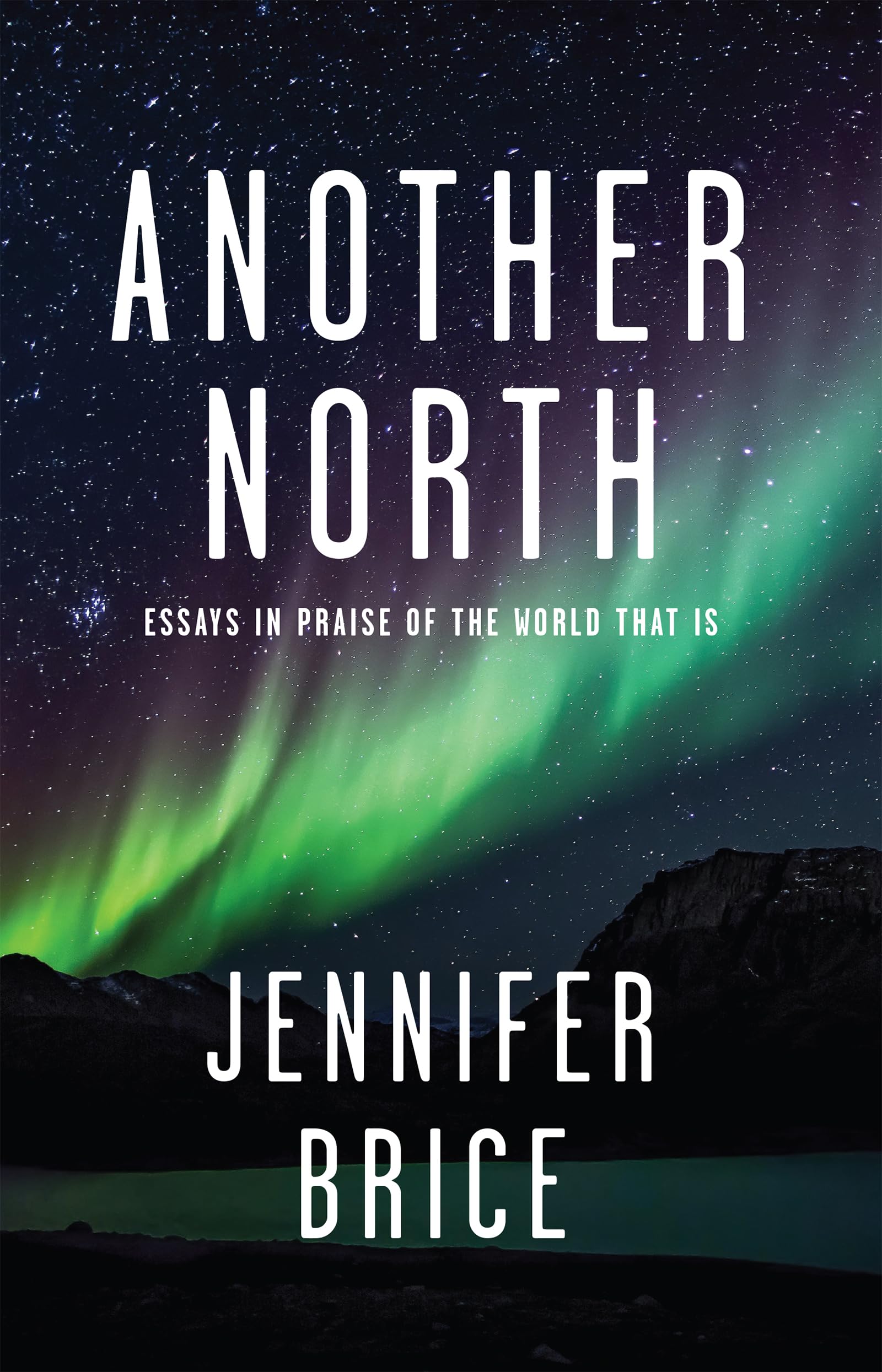 Another North by Brice, Brice,  New 9781597099455 Fast Free Shipping+-