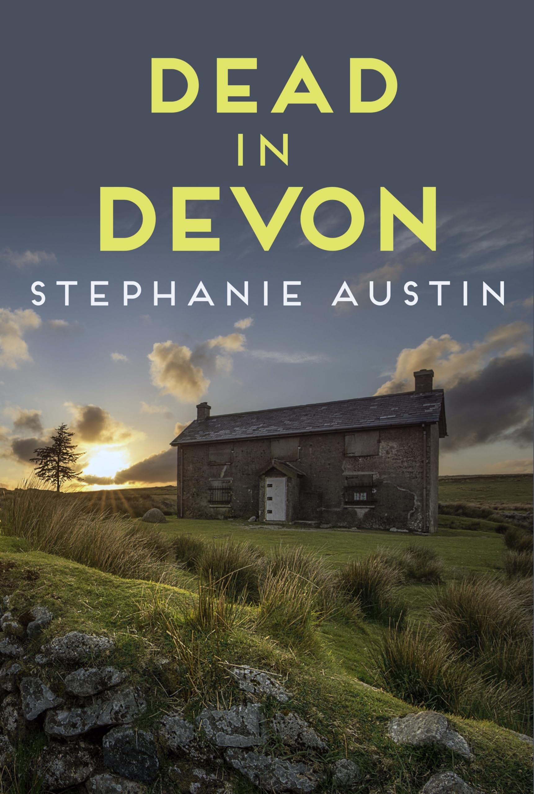 Stephanie Austin Dead in Devon Paperback Book