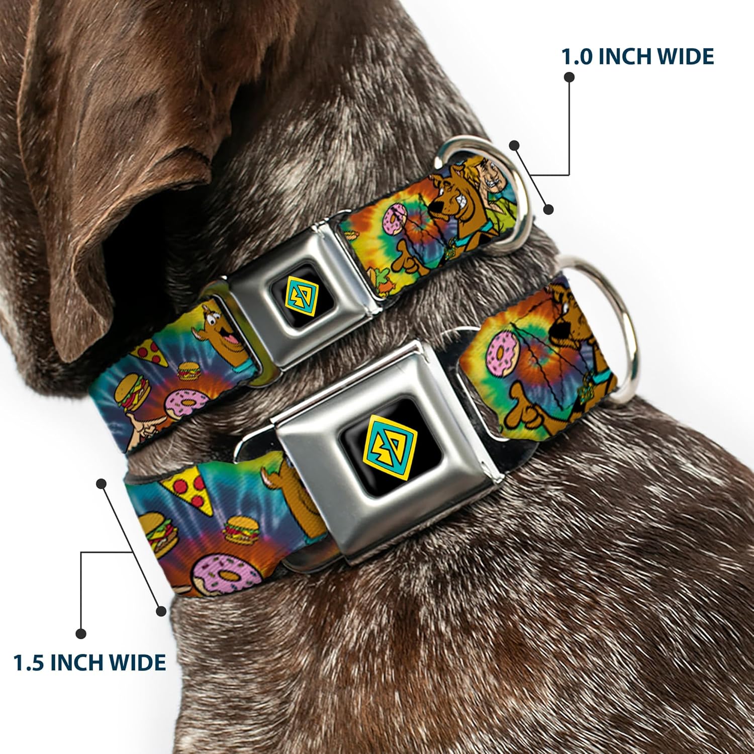 Buckle Down Easy Adjustable Metal Seatbelt Buckle Quick Release Dog Collar, Scooby Doo and Shaggy Poses, 20 to 31 Inches 1.5 Inch Wide-Large