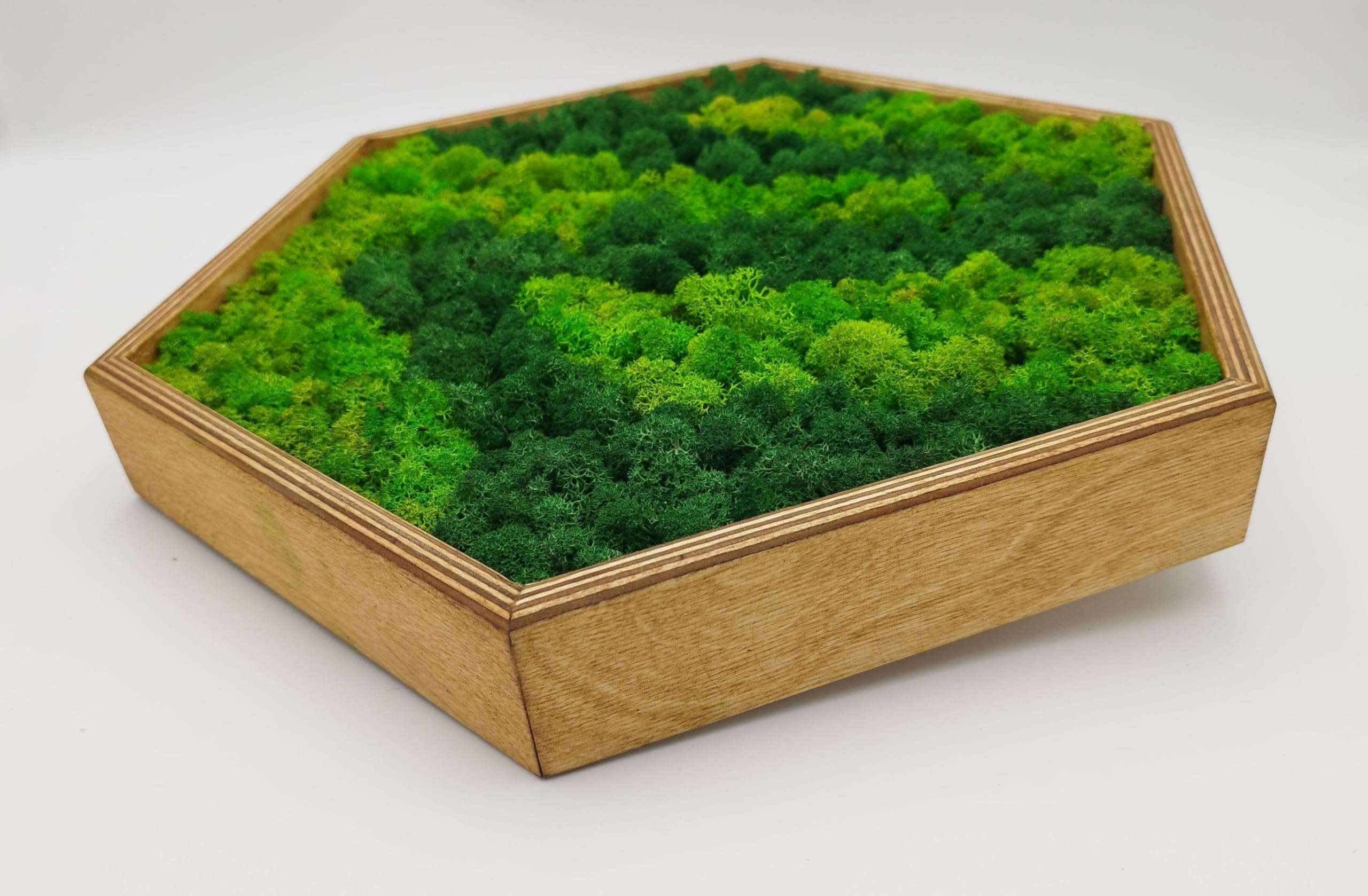 LoveLasy Bicolor Moos Wandbild Hexagon für Zuhause und Büro, Moosbild, stabilisiertes Moos (groß)