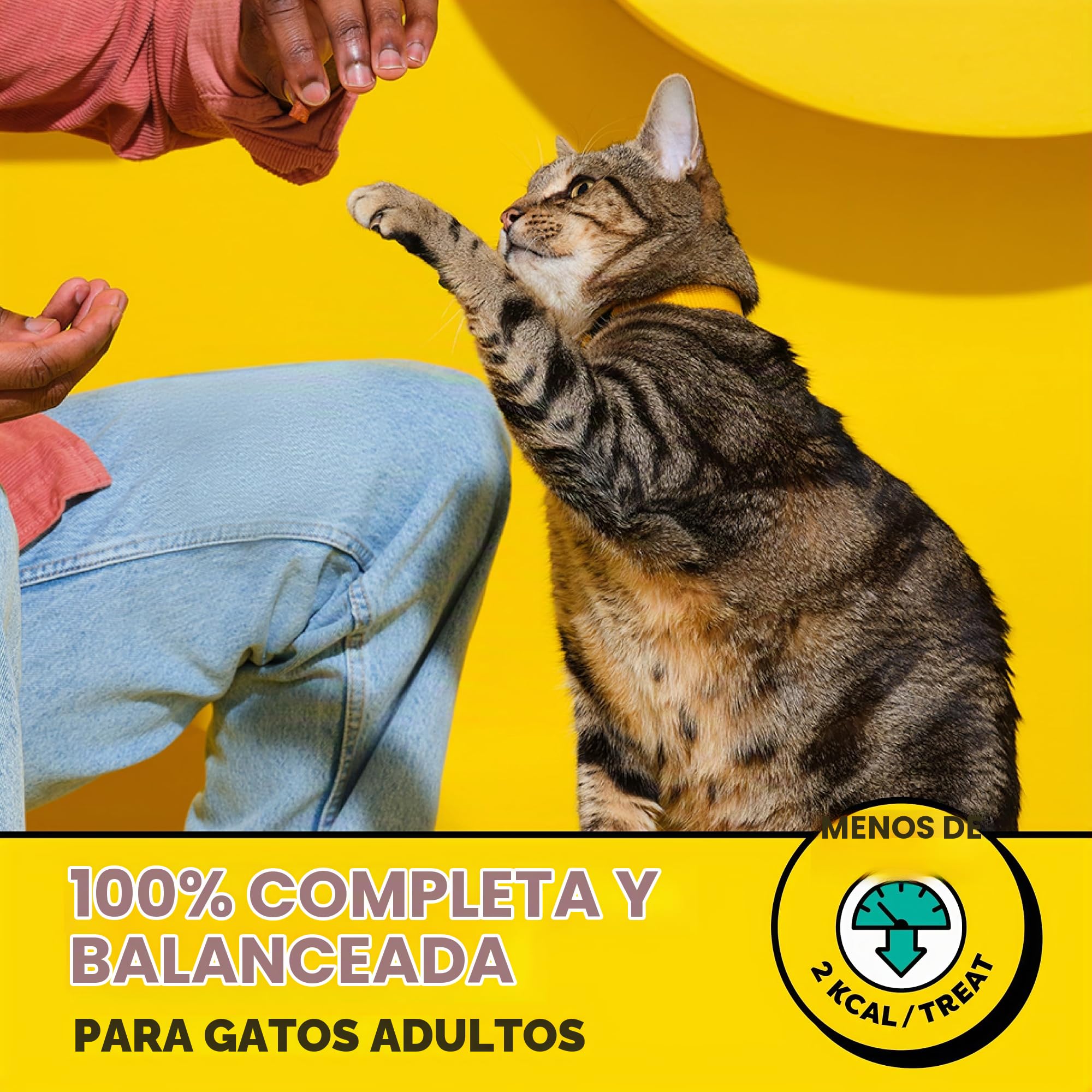 Temptations Salco Landon Tyler Gato Tratar Variedad Pack