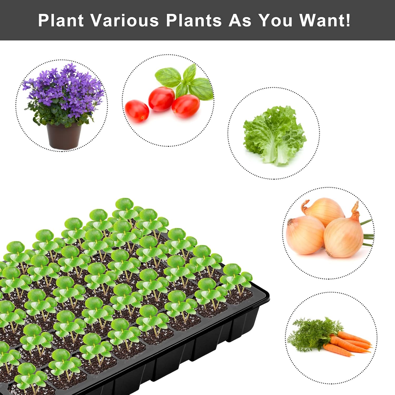 Elcoho 6 Pack Seed Starter Tray Kit 40 Cells Seedling Trays with Humidity Dome and Base Mini Propagator Plant Nursery Pots Total 240 Cells for Greenhouse Plants Growing, Black