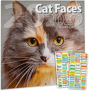 Cat Faces Calendar 2026 - Deluxe 2026 Cute Cats Wall Calendar Bundle with 100+ Reminder Stickers | Animal Photography Office Supplies