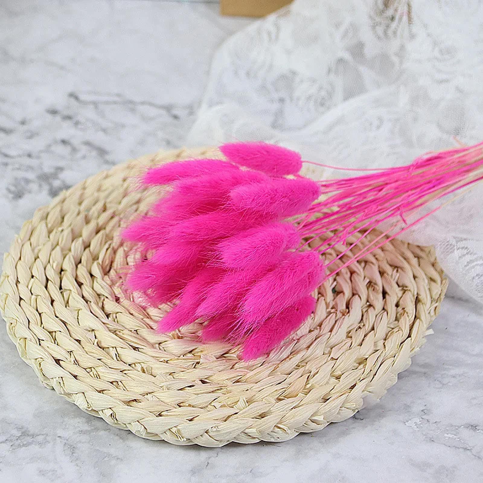 Fosangpushi Rose Bunny Tails Dried Flowers,50Pcs 45Cm Natural Bunny Rabbit Tail Grass Real Bouquet Wedding Decoration Pampas Grass Boho Home Decor