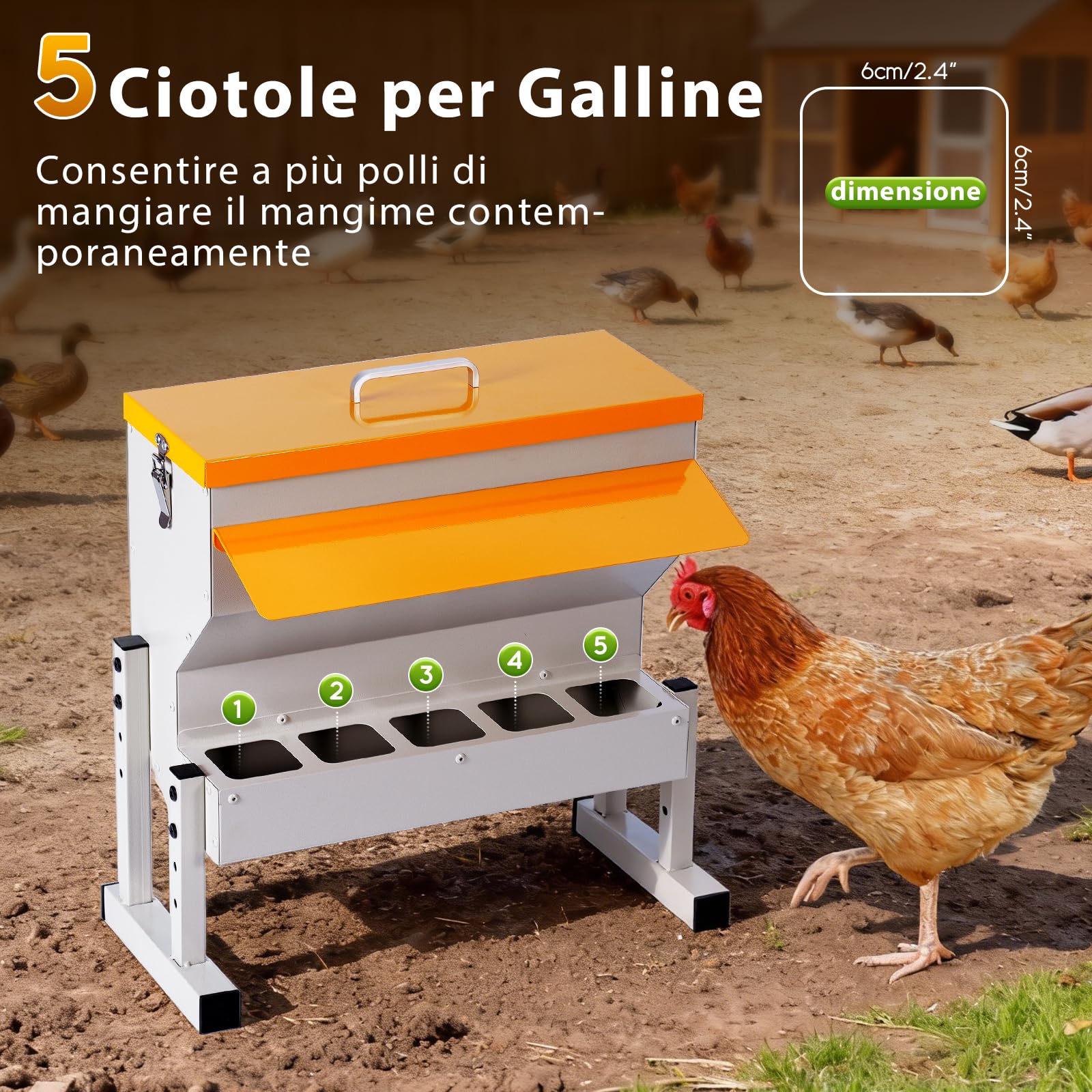 Mangiatoia automatica per polli in metallo, 16 l, con 5 aperture per mangime, distributore automatico | Gravità, mangiatoia per pollame, da appendere, per pollame, anatre, accessori per pollaio
