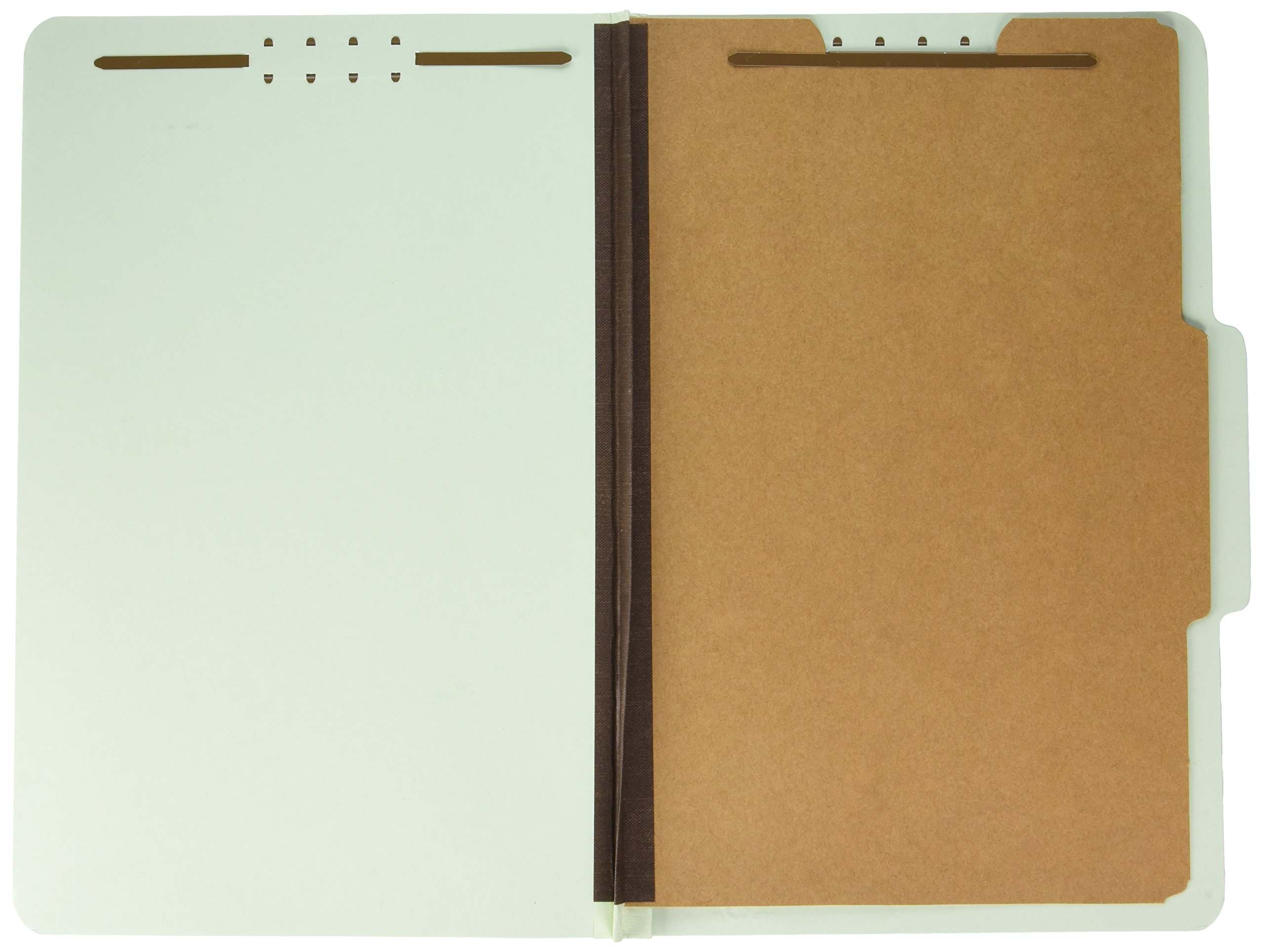 Pendaflex Cartelle di classificazione, standard, 1 divisore, 2 pollici, dimensioni legali, verde chiaro, 10 per scatola (17175EE)