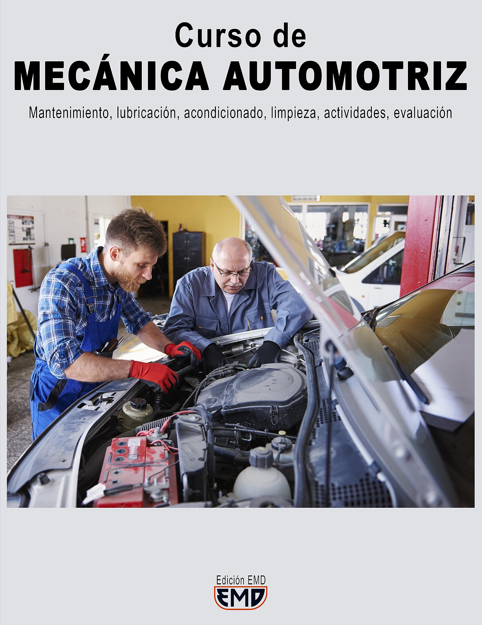 Curso de MECÁNICA AUTOMOTRIZ: Mantenimiento, lubricación, acondicionado, limpieza, actividades, evaluación (Spanish Edition)