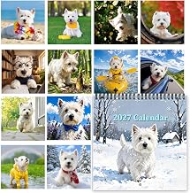 Calendrier 2027 12 Mois Agenda Scolaire Planificateur Chien Drôle | Calendrier 2027 à double Maison école classe dortoir université travail étude enseignant étudiant enfant