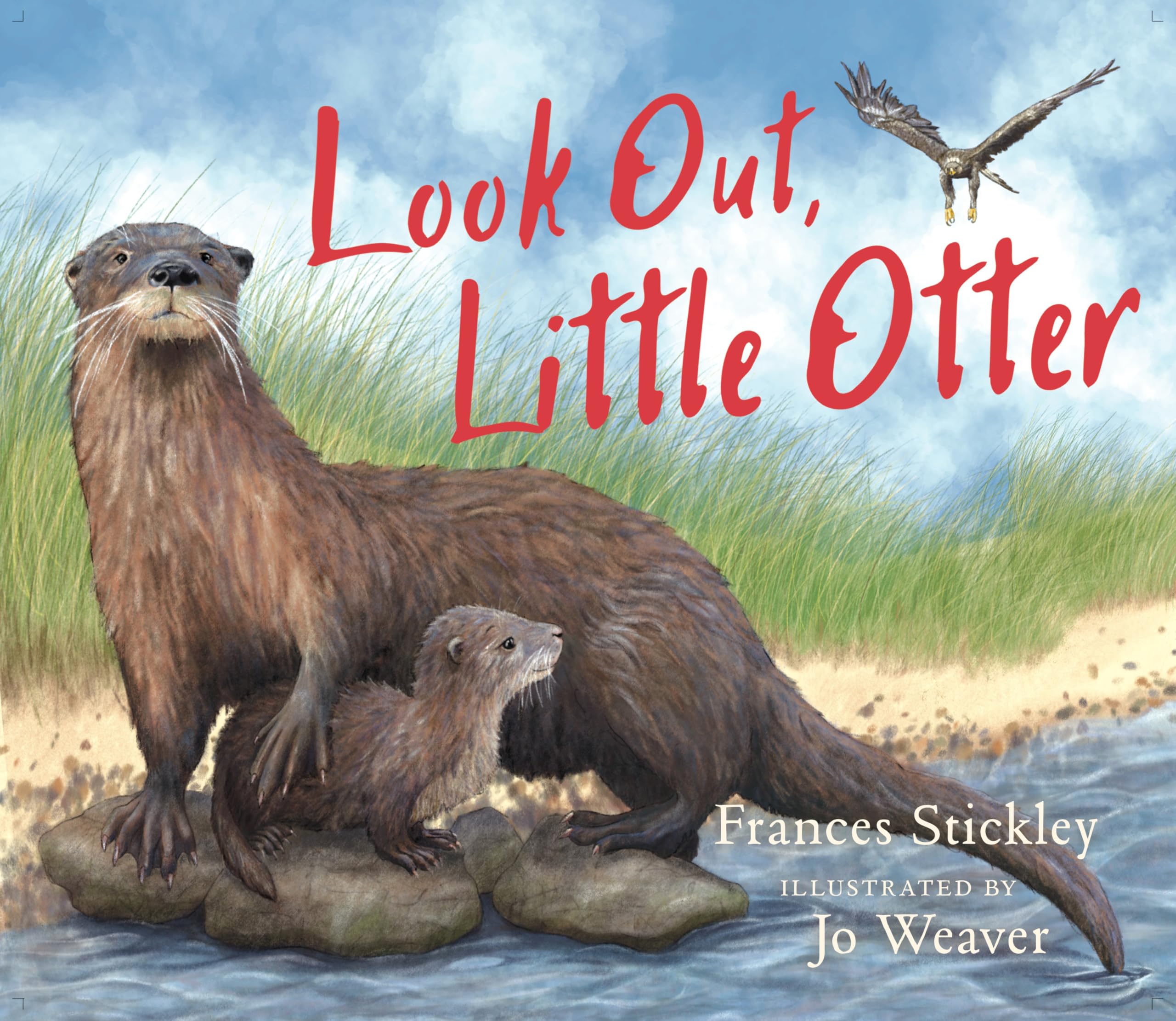 Look Out Little Otter by Jo Weaver PAPERBACK 9781780279800