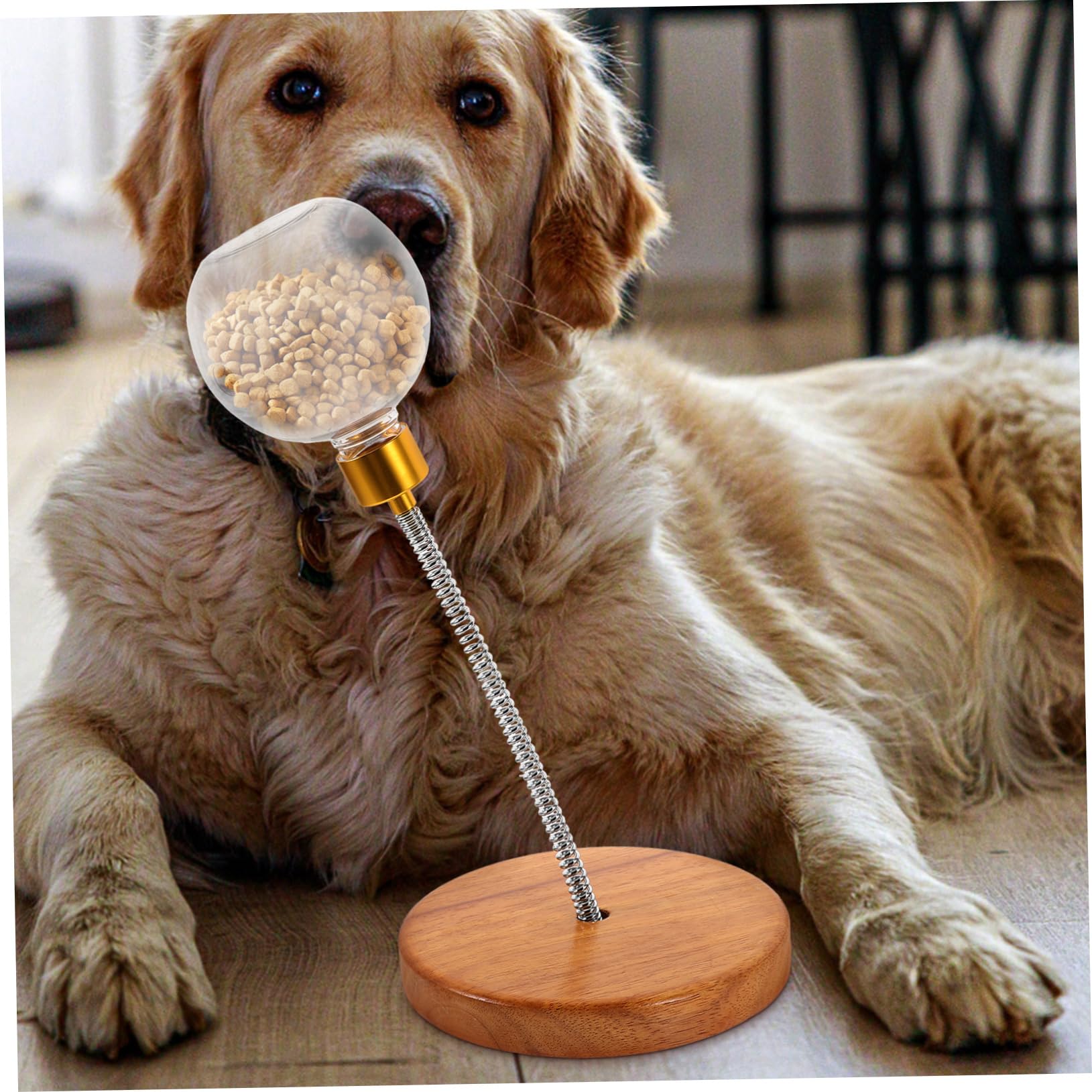 BESPORTBLE Jouet Multi-usages pour Chien - Balançoire avec Distributeur De Nourriture - Friandises Interactives pour La Santé De Lanimal