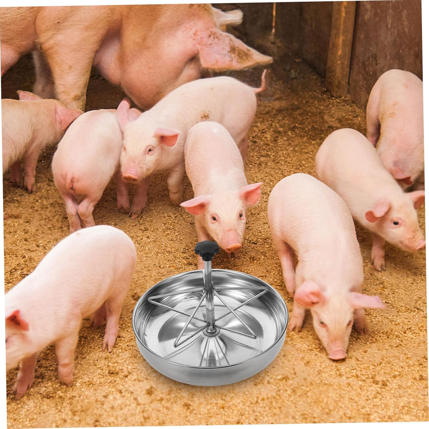 Farmhouse Pig Feeder Livestock Feeding Trough Stainless Steel Large Capacity Easy to Clean