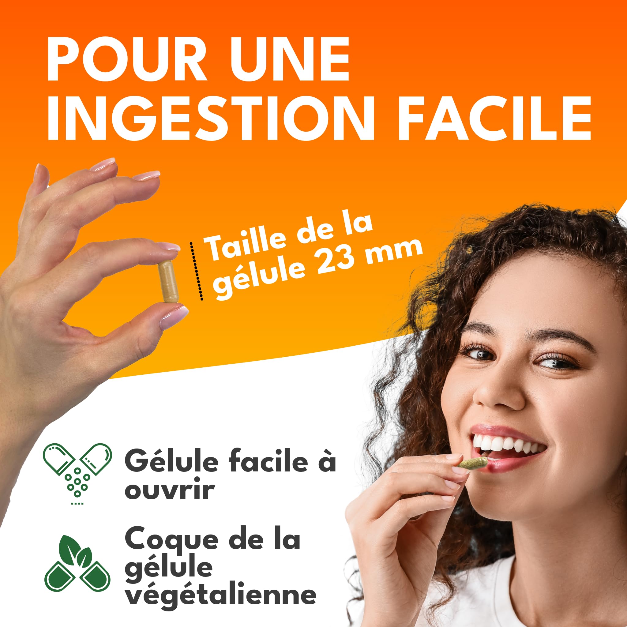 Green Naturals® Panax Ginseng – 2100 mg par dose journalière – 20% Ginsénosides – 180 gélules pour 2 mois – Extrait de racine Panax Ginseng C.A. Meyer