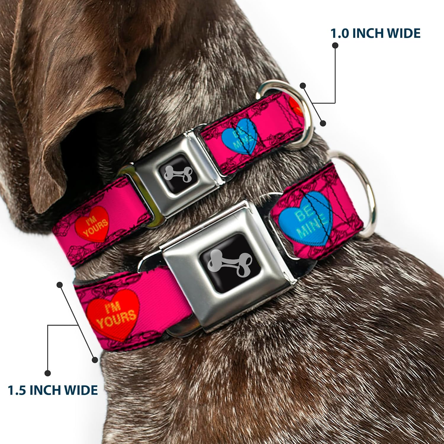 Buckle-Down Dog Collar Seatbelt Buckle Candy Hearts, Multicolor, 1" Wide - Fits 9-15" Neck - Small (DC-W30323-S)