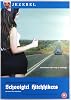 Schoolgirl Hitchhikers [DVD]