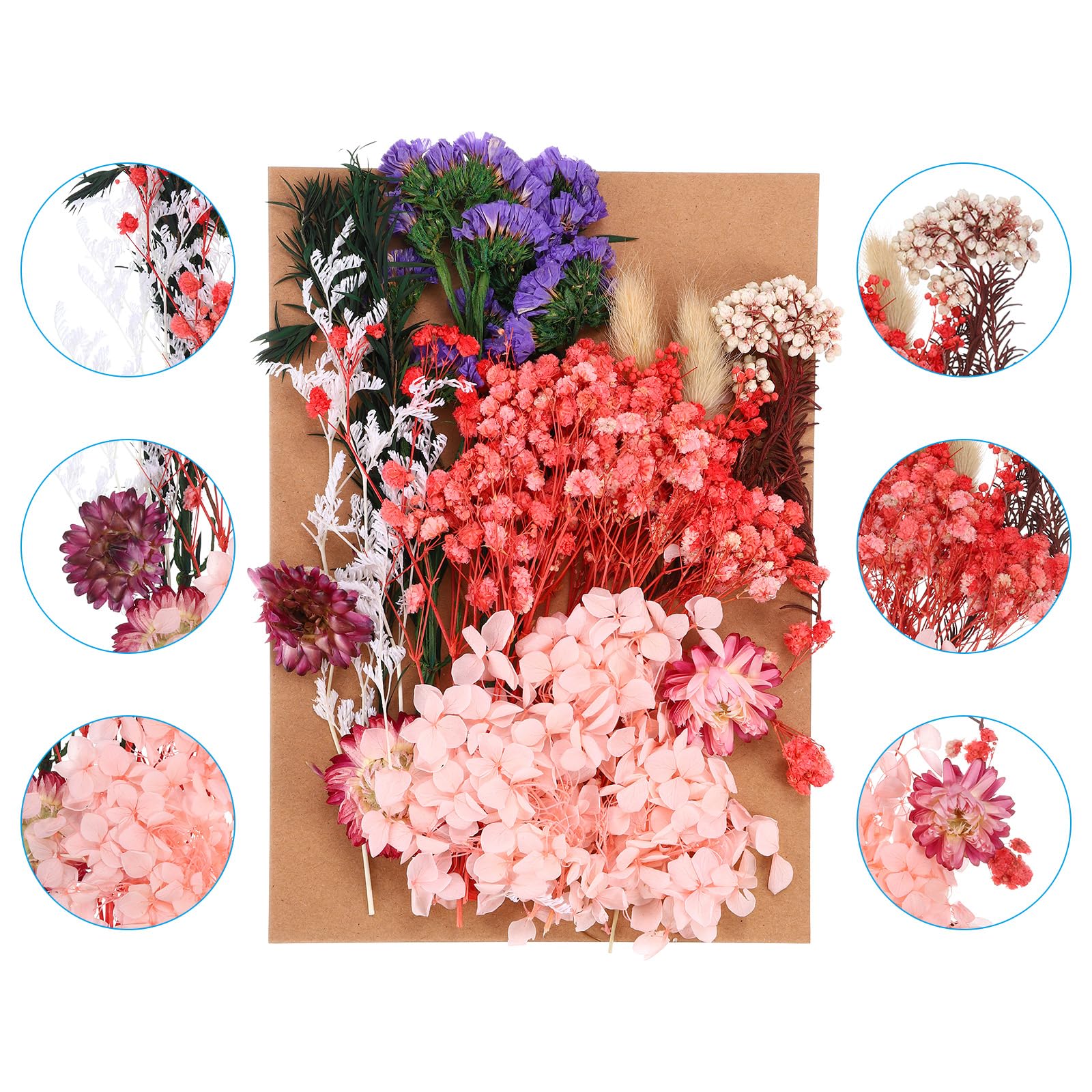 PATIKIL Pressed Flowers for Craft Bulk Dried Flowers Natural Pressed Flowers Leaves for Resin Soap Candle Scrapbooking DIY Gift Papermaking - Image 3