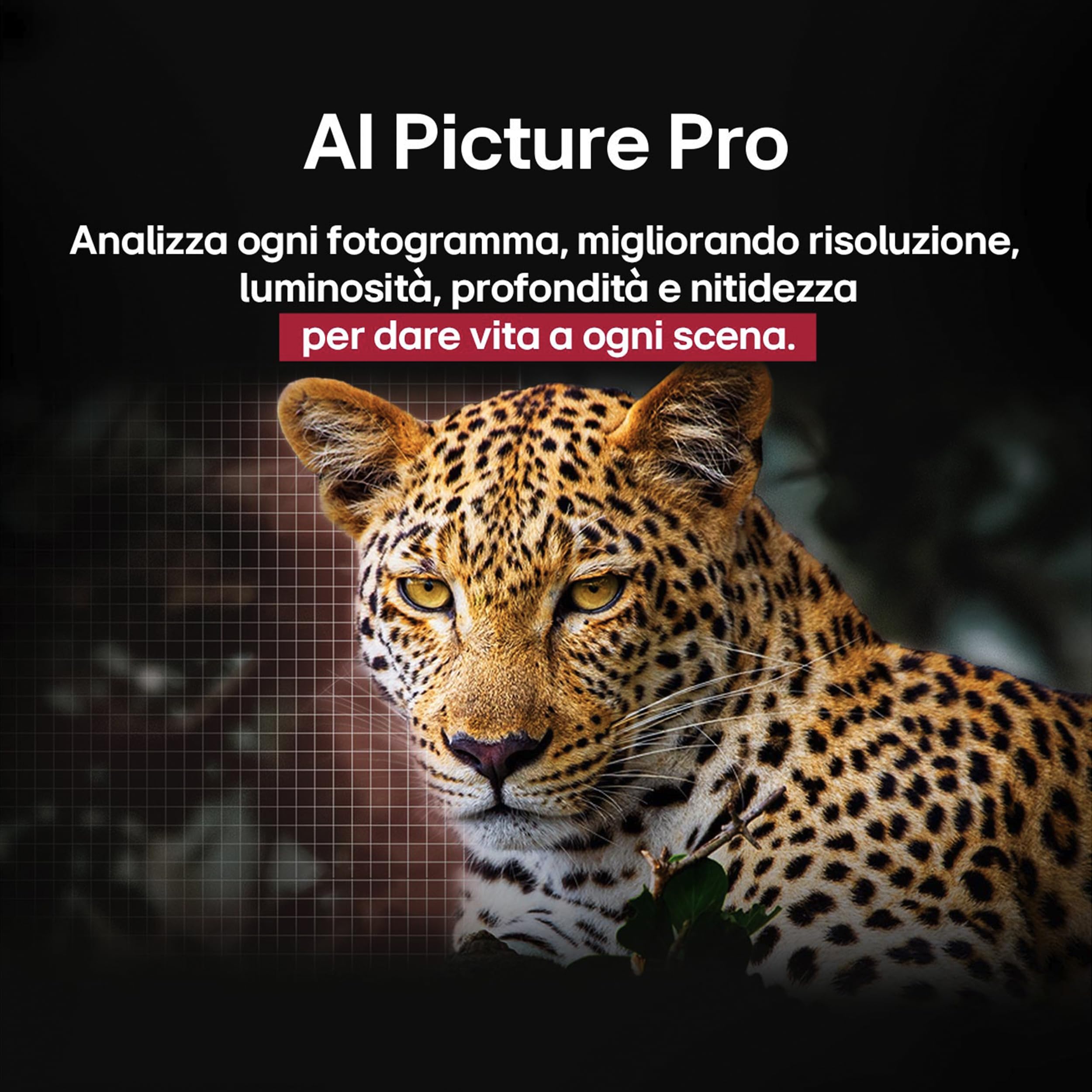 LG OLED evo C5 Smart TV 48 pollici 4K Processore α9 Gen8 webOS Dolby Vision Atmos VRR GSYNC 4K@144Hz HDMI 2.1 OLED48C56LB