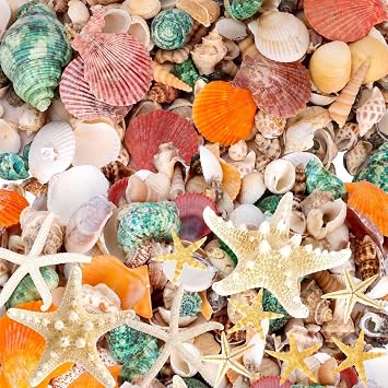 WEOXPR Mixed Seashells & Starfish Decor - 170 Pcs Assorted Sizes Natural Ocean Shells for Fish Tank, Vase Fillers, Beach Theme Party Wedding Decor, DIY Crafts, Candle Making, Home Decorations
