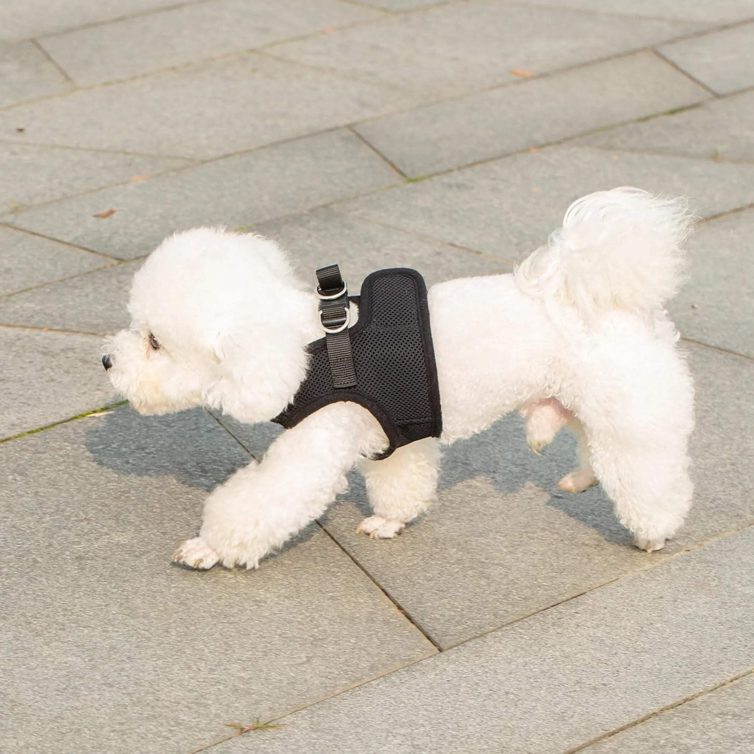 Mr. Peanut's PupTrek Small Dog/Cat Soft Mesh Step in Harness Vest (Large, Black)