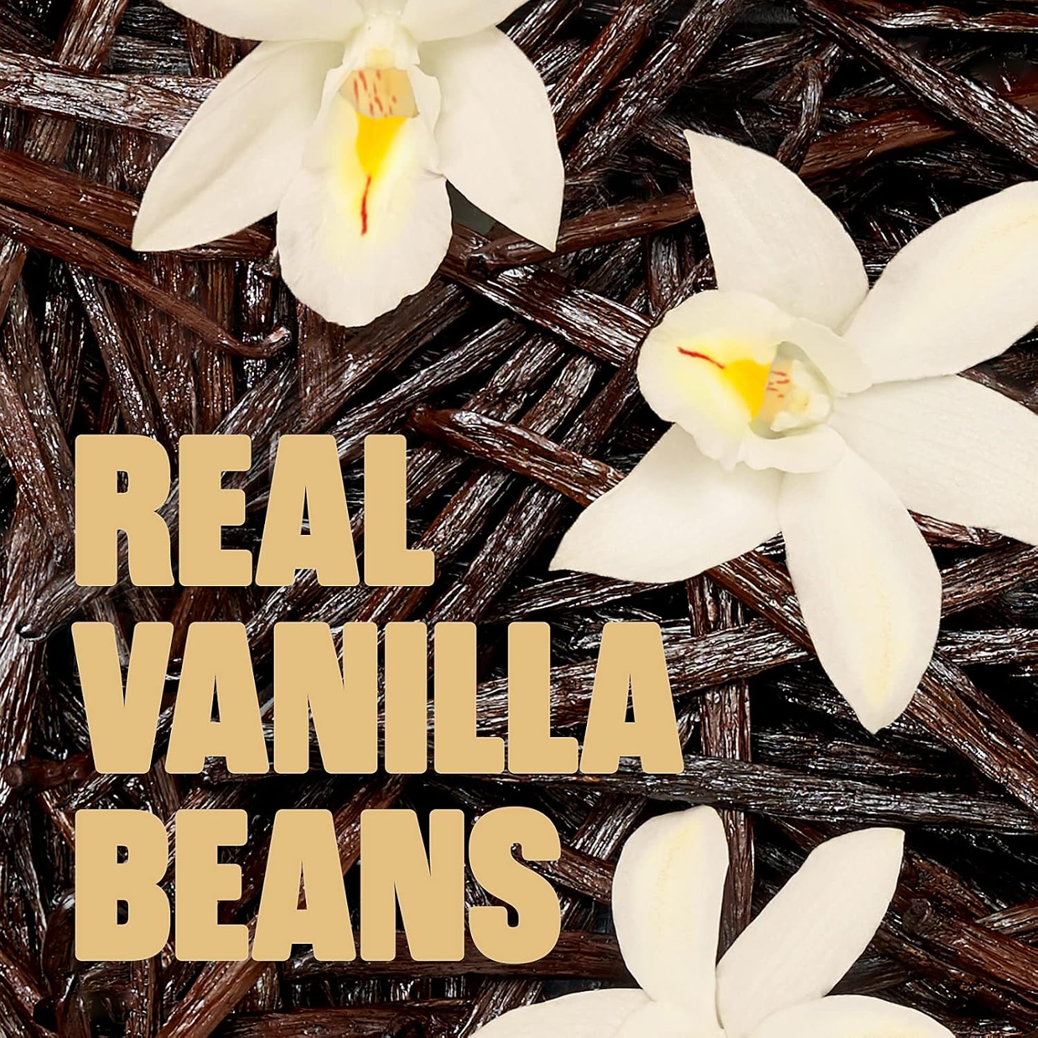 Noosa, Yogurt Vanilla Bean, 24 Ounce